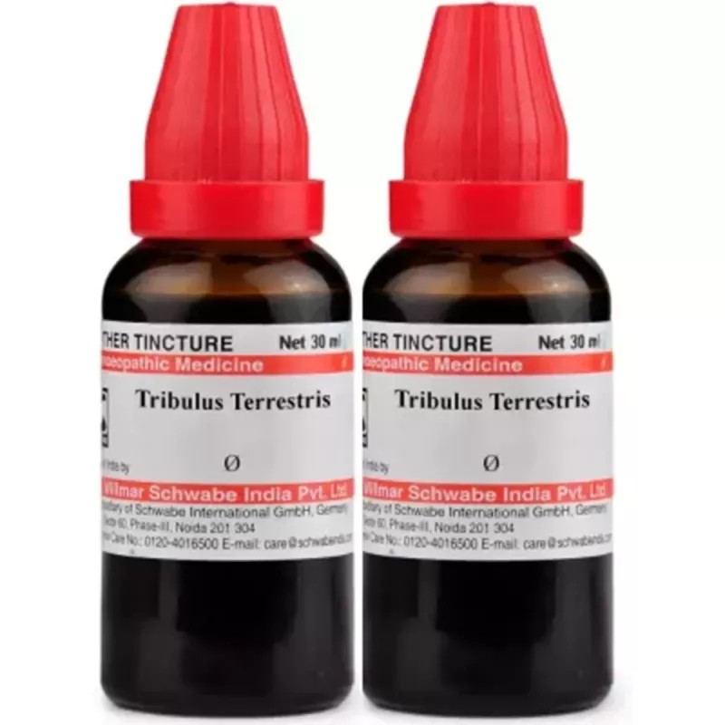 Willmar Schwabe India Tribulus Terrestris 1X (Q) (30ml, Pack of 2)