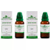 Wheezal Squilla 1X (Q) (30ml, Pack of 2)