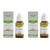Bakson Bryonia Alba 10M CH (30ml, Pack of 2)