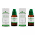 Wheezal Sulphur 1X (Q) (30ml, Pack of 2)