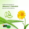 Bakson Sunny Aloevera Calendula Soap (75g)