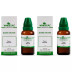 Wheezal Taxus Baccata 1X (Q) (30ml, Pack of 2)