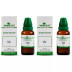 Wheezal Arnica Mont 1X (Q) (30ml, Pack of 2)