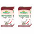Wheezal Arsenicum Iod 6X (25g, Pack of 2)