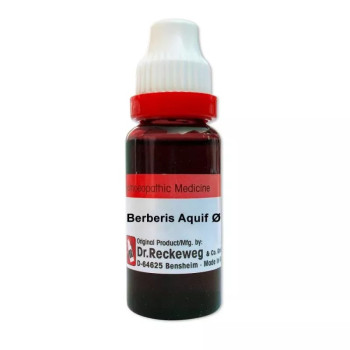 Dr Reckeweg Berberis Aquifolium 1X (Q) (20ml)