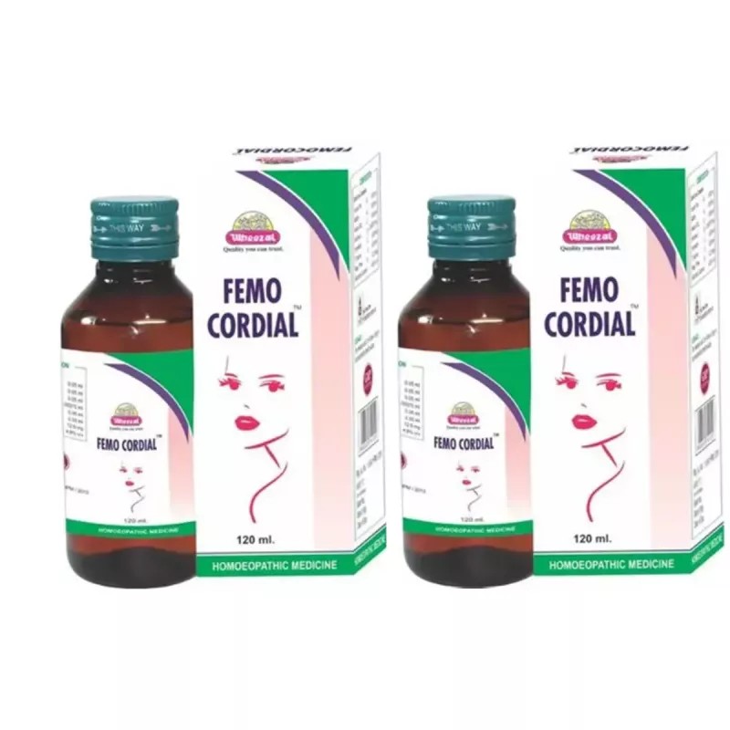 Wheezal Femocordail Syrup (120ml, Pack of 2)
