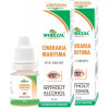 Wheezal Cineraria Maritima Eye Drops (Alcohol Free) (10ml, Pack of 2)