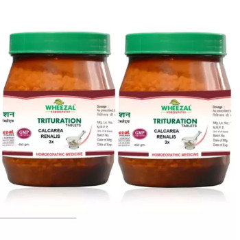 Wheezal Calcarea Renalis 3X (450g, Pack of 2)
