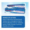 Wheezal Hekla Lava Dental Cream (Tooth Paste) (100g, Pack of 5)