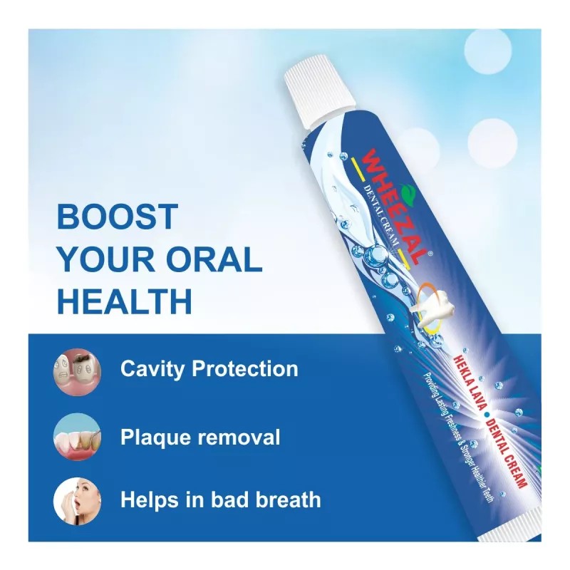Wheezal Hekla Lava Dental Cream (Tooth Paste) (100g, Pack of 5)
