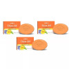 Bakson Sunny Derm Aid Soap (75g, Pack of 3)