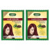 Bakson Sunny Hair Color (Burgundy) (20g, Pack of 2)