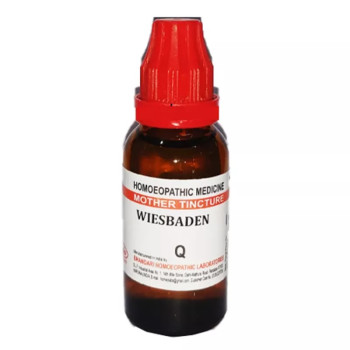 Bhandari Wiesbaden 1X (Q) (100ml)