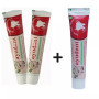 Baidyanath Ayurvedant Ayudant Herbal Toothpaste Pack of 2 (100g, Pack of 2)