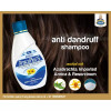 Allen Labs Arnika Plus -S Shampoo (100ml, Pack of 2)