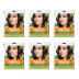 Nisha Creme Hair Color 3.0 Dark Brown (40g, Pack of 6)