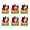 Nisha Creme Hair Color Flame Red (40g, Pack of 6)