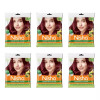 Nisha Creme Hair Color 3.16 Burgundy (50g, Pack of 6)
