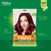 Nisha Creme Hair Color 3.16 Burgundy (50g, Pack of 6)