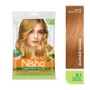 Nisha Creme Hair Color 8.1 Golden Blonde Combo (Developer 90ml, Colorant Tube 60gm, Conditioner 6ml (Box) + 40gm Pouch) (1Pack)