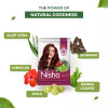 Nisha Henna Based Hair Color Natural Brown Powder (15g, Pack of 10)