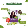 Nisha Henna Based Hair Color Burgundy Powder (15g, Pack of 10)