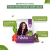 Nisha Henna Based Hair Color Burgundy Powder (15g, Pack of 10)