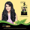 Nisha 5 Minutes Quick Color Henna Based Hair Color Natural Black (10g, Pack of 10)