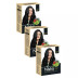 Nisha Henna Based Hair Color Natural Black Powder 1.00 (60g, Pack of 3)