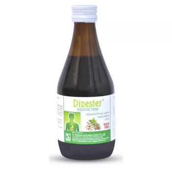 Willmar Schwabe India Dizester (200ml)