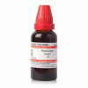 Willmar Schwabe India Phyllanthus Niruri 1X (Q) (30ml)