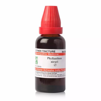 Willmar Schwabe India Phyllanthus Niruri 1X (Q) (30ml)