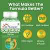 Dr Morepen Gokshura 1000Mg Tablets (60tab, Pack of 2)