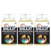 Dr Morepen Shilajit Capsules (60caps, Pack of 3)