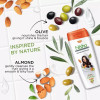 Nisha Almond & Olive Actives Shampoo (180ml, Pack of 2)