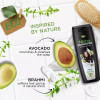 Nisha Avocado & Brahmi Oils Shampoo (180ml, Pack of 2)