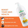 Wheezal Arnica Hair and Scalp Shampoo (1000ml)
