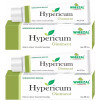 Wheezal Hypericum Ointment (25g, Pack of 2)