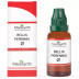 Medisynth Bellis Perennis 1X (Q) (30ml)