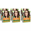 Nisha Creme Hair Color 3.0 Dark Brown (Colorant 20g + Developer 20ml) (1Pack, Pack of 6)