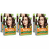 Nisha Creme Hair Color 3.0 Dark Brown (Colorant 20g + Developer 20ml) (1Pack, Pack of 6)