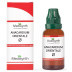 Medisynth Anacardium Orientale 1X (Q) (30ml)