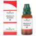 Medisynth Anagallis Arvensis 1X (Q) (30ml)