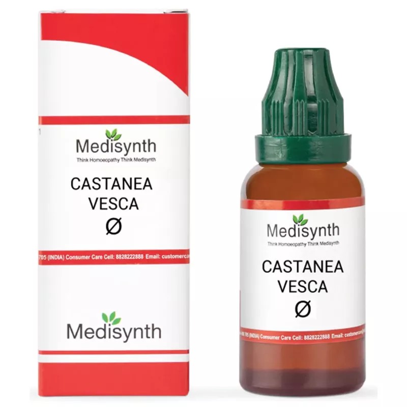 Medisynth Castanea Vesca 1X (Q) (30ml)