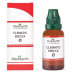 Medisynth Clematis Erecta 1X (Q) (30ml)