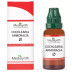 Medisynth Cochlearia Armoracia 1X (Q) (30ml)