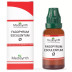 Medisynth Fagopyrum Esculentum 1X (Q) (30ml)