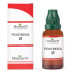 Medisynth Ficus Indica 1X (Q) (30ml)