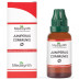 Medisynth Juniperus Communis 1X (Q) (30ml)