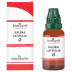 Medisynth Kalmia Latifolia 1X (Q) (30ml)